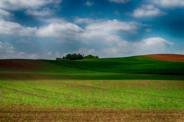 Agricultural landscape with rolling hills