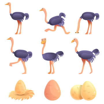 Ostrich icons set. Cartoon set of ostrich vector icons for web design