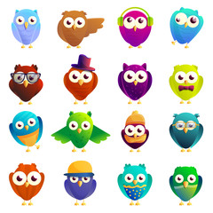 Owl icons set. Cartoon set of owl vector icons for web design
