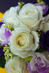 Soft color flowers