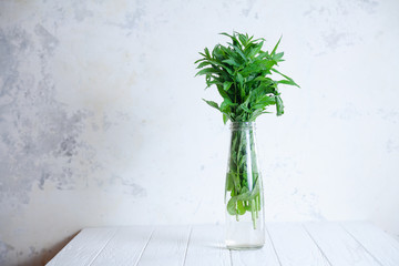 Close up view on bunch of mint in a vase bottle with copy space. Fresh, summer and minimalism concept. Scandinavian interior. Fresh herbs on white concrete background
