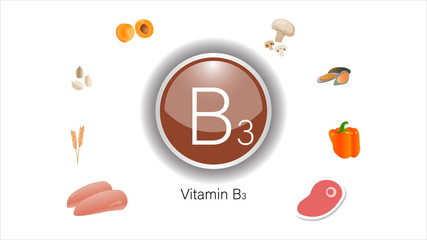 Vitamin B3 sources vector illustration