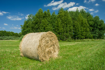 One big hay bale lying on a meadow, trees and blue sky