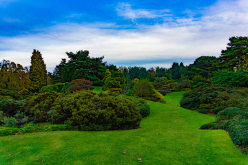 Natural landscape of green trees in a garden with large green field in cloudy blue sky day