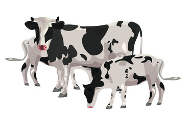 Cow on a white background. Vector graphics