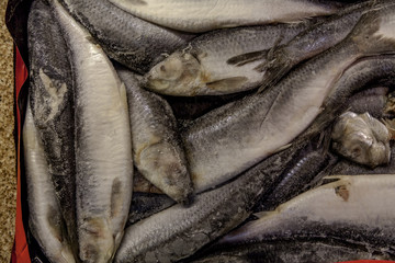 Frozen layered fish