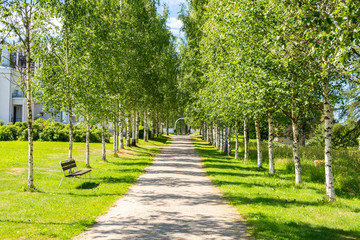 Beautiful birch tree alley in Lintula Holy Trinity Convent, Palokki, Heinävesi, Finland