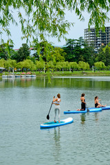 Fototapeta na wymiar Young girls paddling on SUP board on a calm lake at city. Sup surfing group women. Awesome active training in nature.