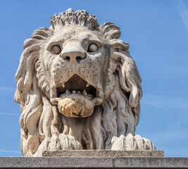 Obraz premium Lion on Chain Bridge on the Danube River in Budapest, Hungary