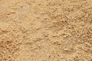 A pile of sawdust after cutting wood products at a woodworking enterprise, sawmill, background, abstraction