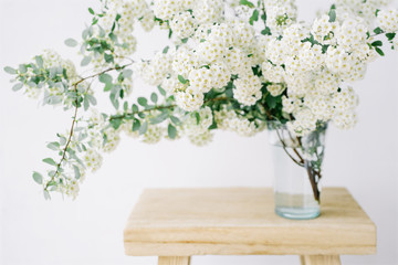 Bouquet of white flowers in  glass vase on white wall background