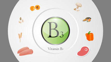 Vitamin B3 sources vector illustration