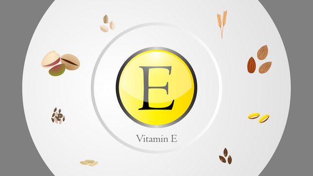 Vitamin E sources vector illustration