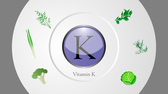 Vitamin K sources vector illustration