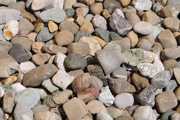 pebbles in beige and brown shades in sunlight