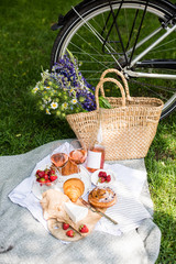 Beautiful summer picnic with strawberries, cheese and rose wine on the lawn in the city park