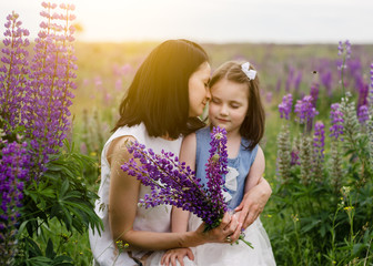 Beautiful mother and daughter are kissing in lupine field. Mother's Day Concept. Blooming Lupine flowers/ Lupinus polyphyllus