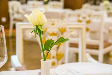 beautiful french restaurant interior with crystal chandeliers and table seating with china porcelain tableware