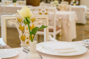 beautiful french restaurant interior with crystal chandeliers and table seating with china porcelain tableware