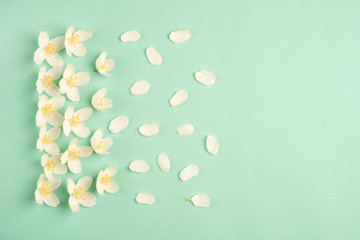 Composition of white flowers and petals on green background. Top view. Copy space