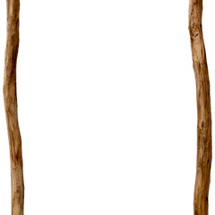 wooden frame of tree branches isolated on white background