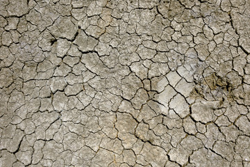 Small cracks form a pattern on the soil