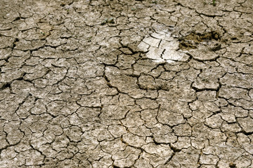 detail of a cracked earth, crack earth, crack soil , global warming