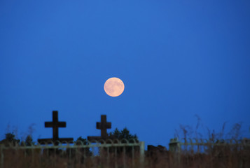 moon night in a graveyard