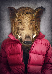 Wildschwein in Kleidung. Mann mit einem Tigerkopf. Konzeptgrafik im Vintage-Stil mit weichem Ölgemälde-Stil. © cranach
