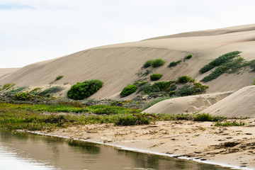 Morro Bay Dunes Natural Preserve, Los Osos, California