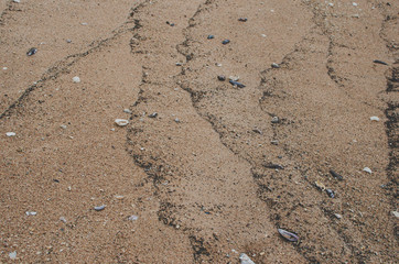 Wet sand in the beach after sea wave gone and there are some small shells and rocks.