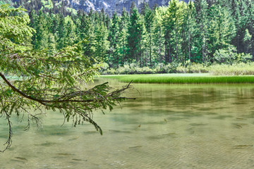 Teich mit bergpanorama