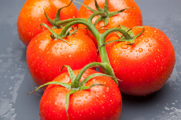 Tomates, rojos, frescos y saludables, los podemos comer crudos en ensaladas o bien podemos hacer mermeladas y salsas, los podemos rellenar con carne u otros vegetales. Los podemos cocinar