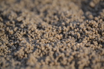 Sand
