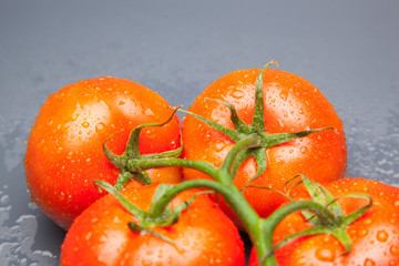 Tomates, rojos, frescos y saludables, los podemos comer crudos en ensaladas o bien podemos hacer mermeladas y salsas, los podemos rellenar con carne u otros vegetales. Los podemos cocinar