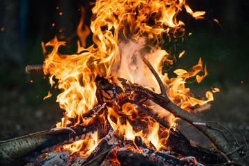 Bonfire in the summer forest on dark background, flames