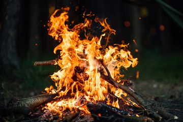 Bonfire in the summer forest on dark background, flames