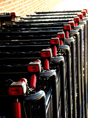 Fototapeta premium GROCERY CARTS IN A ROW