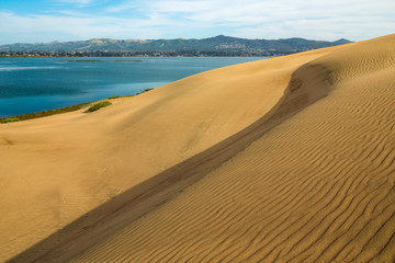Sand Dunes on the Beach. Blue Water, Blue Sky, and Golden Sand