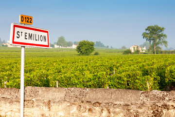 vineyards near Saint-Emilion, Bordeaux, Francie