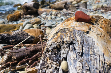 rocky sea shore with pebble beach, waves with foam