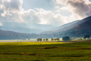 The plateau of Cansiglio