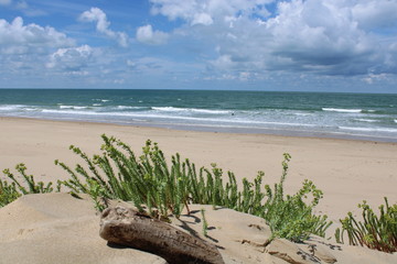 La C&ocirc;te Sauvage