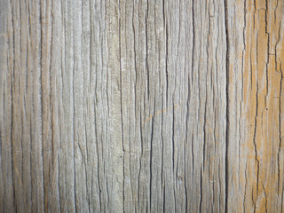 Texture of tree surface brown color for background