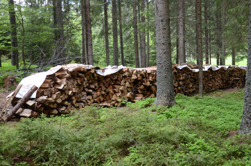 Brennholz