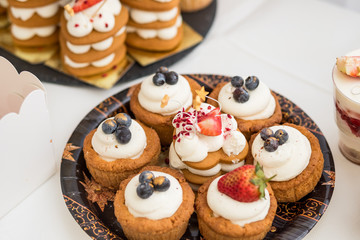 Various mini cakes. Sweets decorated with fresh berries for holiday.tasty cake.small cakes with various berries and vanilla cream, berries and Colorful macarons .Macaroon is sweet meringue-based