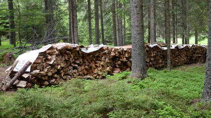 Brennholz