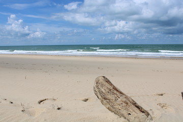 La C&ocirc;te sauvage