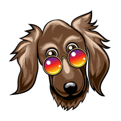 Cute Dog Muzzle in Rainbow Glasses