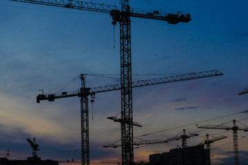Fototapeta premium Construction cranes on sunset
